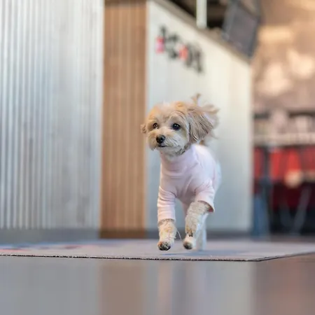 House Of Records Hotel 3*