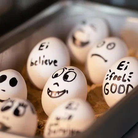 Hotel House Of Records